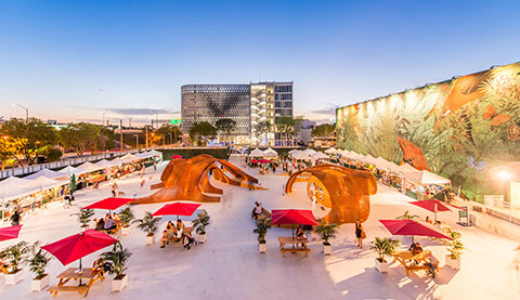 The Jungle Plaza at Palm Court Miami Design District